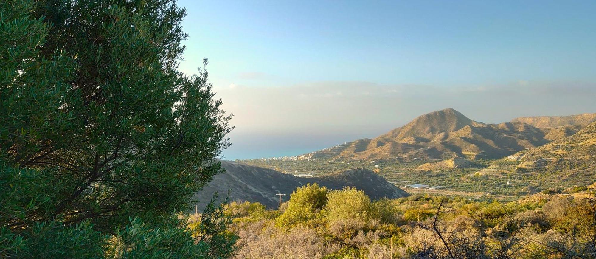 Omythos Villa Mithoi